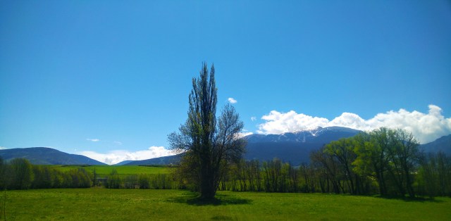 20160519_121814 [5321]